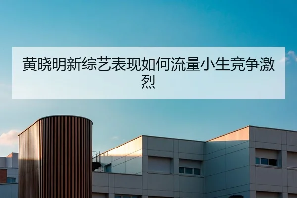 黄晓明新综艺表现如何流量小生竞争激烈